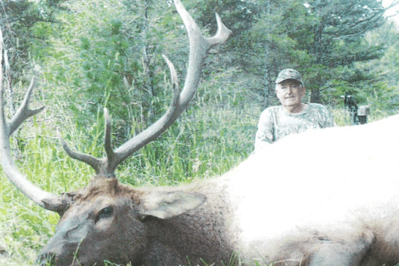 Hunting Every North American Big-Game Animal with a Barebow